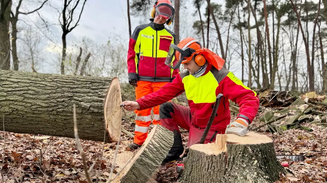 FW-OLL: Motorsägenausbildung erfolgreich fortgesetzt - Bild: presseportal.de