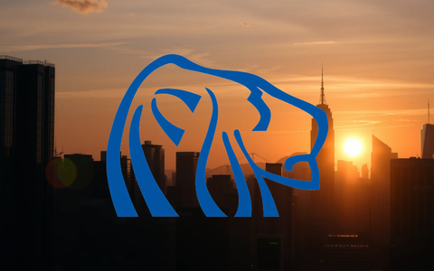 Northern Dynasty Minerals Aktie: Institutionen setzen Signal - Foto: über boerse-global.de