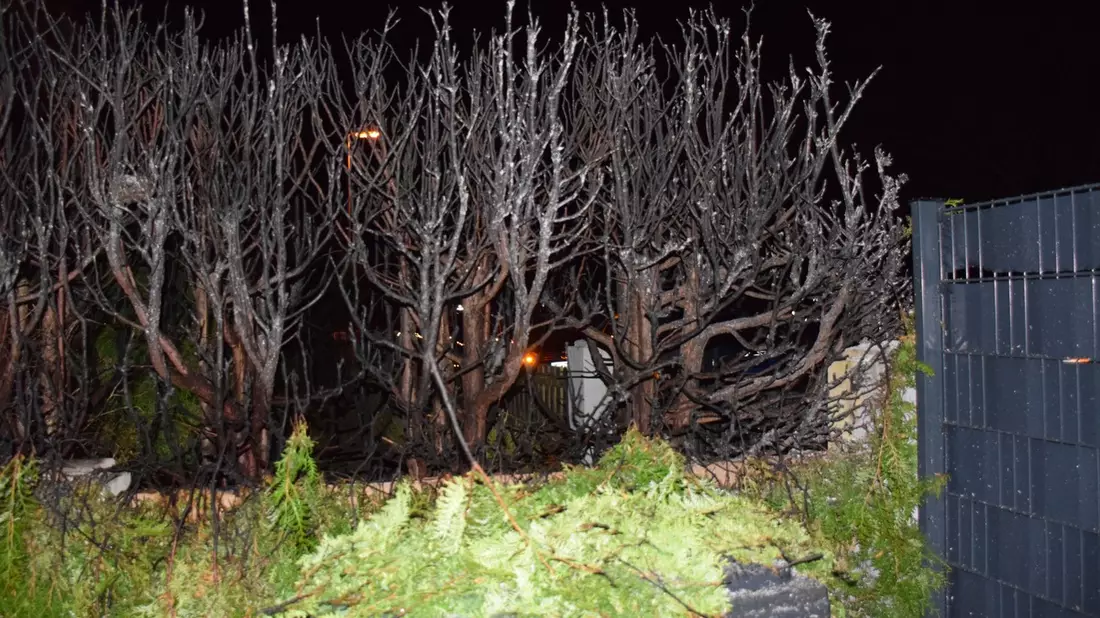 POL-HI: Brand einer hohe Zierhecke durch Feuerwerk - Bild: presseportal.de
