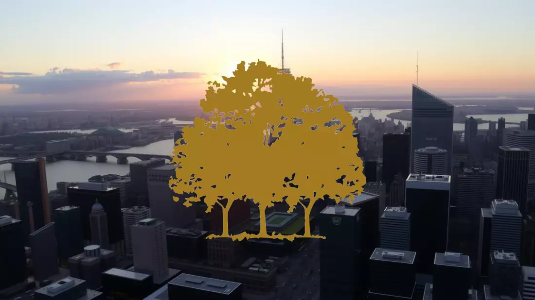 Canopy Growth Shares Consolidate Amid Strategic and Regulatory Shifts Illustration mit AI erstellt übermittelt durch boerse-global.de