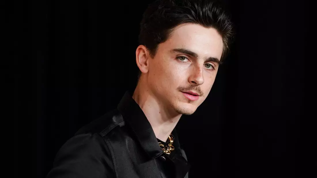 Timothée Chalamet gilt aktuell als einer der gefragtesten Schauspieler Hollywoods (Archivbild). - Bild: Jordan Strauss/Invision/dpa