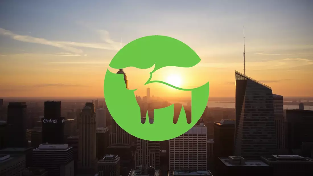 Beyond Meat: La tormenta perfecta que hunde a la acción - Bild: über boerse-global.de
