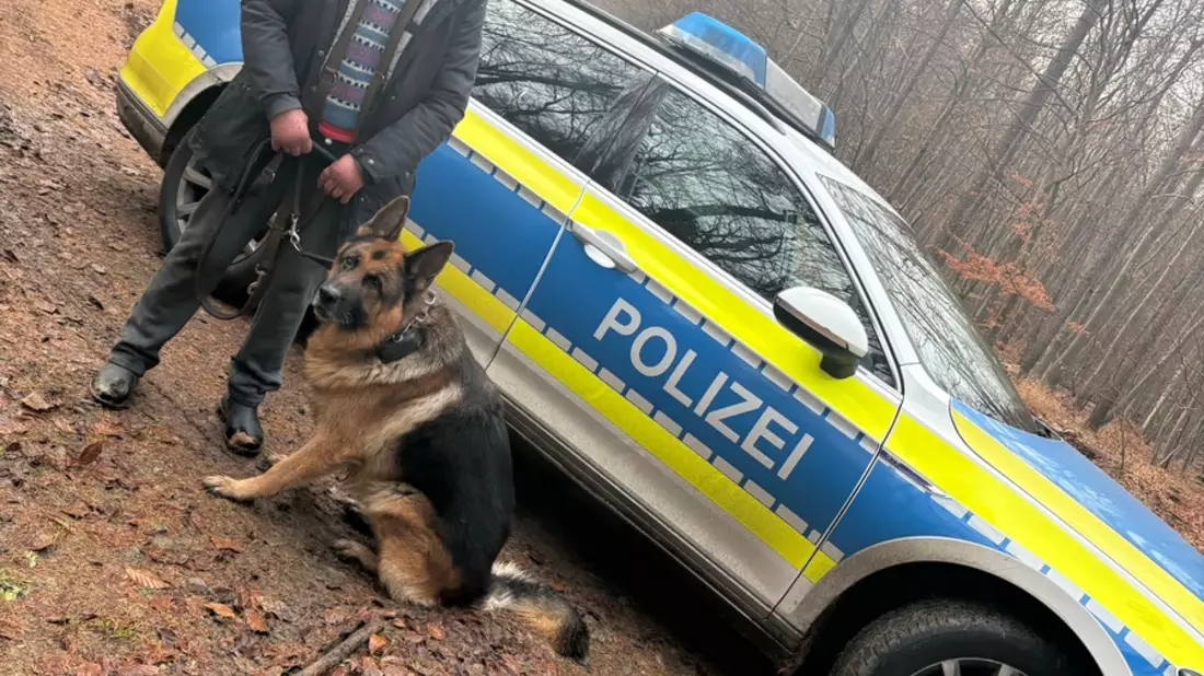 POL-BS: Polizei hilft bei Suche nach Hund - Bild: presseportal.de