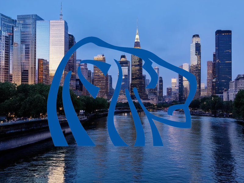 Northern Dynasty Aktie: Analysten stützen - Foto: über boerse-global.de