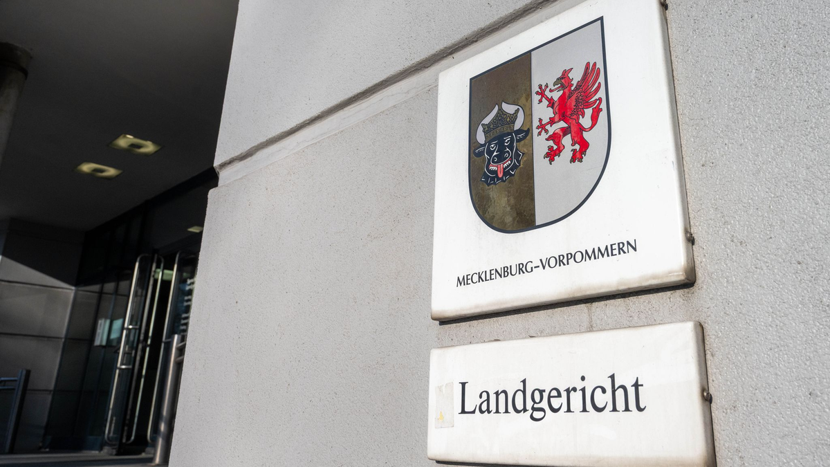 Am Dienstag fiel das Urteil im Totschlagprozess gegen einen 75-Jährigen aus Waren an der Müritz. Er hat seine Ehefrau mit einem Messer getötet. (Archivbild) - Foto: Stefan Sauer/dpa