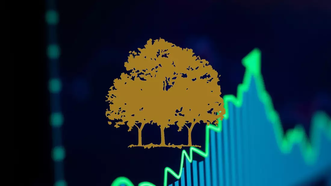 Canopy Growth Shares Navigate Regulatory Shifts and Acquisition Plans - Bild: über boerse-global.de