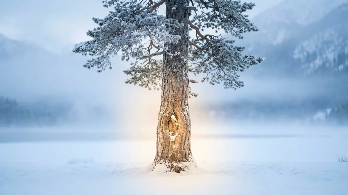 Milz 9: TCM-Akupressur gegen winterliche Knieschmerzen - Foto: über boerse-global.de