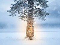 Milz 9: TCM-Akupressur gegen winterliche Knieschmerzen - Foto: über boerse-global.de