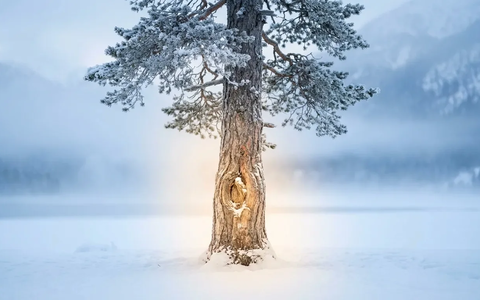 Milz 9: TCM-Akupressur gegen winterliche Knieschmerzen - Foto: über boerse-global.de