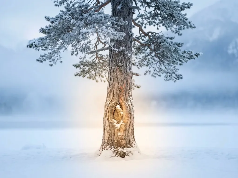 Milz 9: TCM-Akupressur gegen winterliche Knieschmerzen - Foto: über boerse-global.de