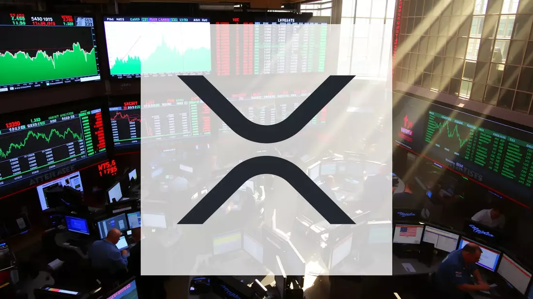 Institutional Investors Defy Market Gloom with Sustained XRP Purchases - Bild: über boerse-global.de
