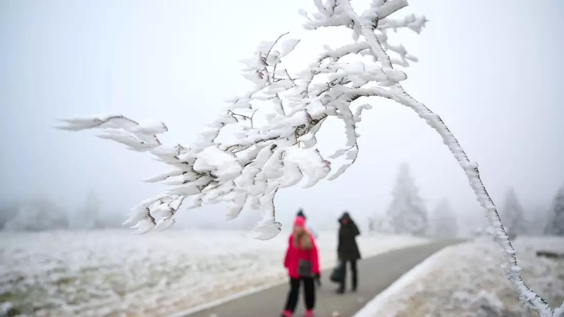 Schnee zu Weihnachten wird es nur vereinzelt geben. - Bild: Bernd Thissen/dpa