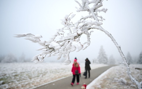 Schnee zu Weihnachten wird es nur vereinzelt geben. - Foto: Bernd Thissen/dpa