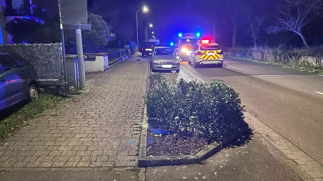 POL-PDLD: Edenkoben Weinstraße - Tödlicher Verkehrsunfall auf L512 - Bild: presseportal.de