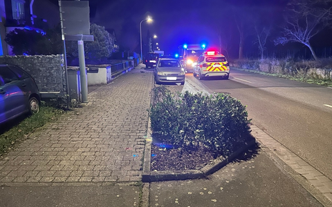 POL-PDLD: Edenkoben Weinstraße - Tödlicher Verkehrsunfall auf L512 - Foto: presseportal.de