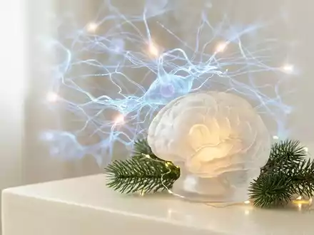 Dankbarkeit als neuronaler Stress-Puffer an Heiligabend - Foto: über boerse-global.de
