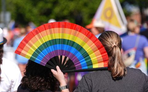 Der Iran will das Pride-Spiel bei der WM in Seattle unbedingt verhindern. (Archivbild)  - Foto: David Zalubowski/AP/dpa