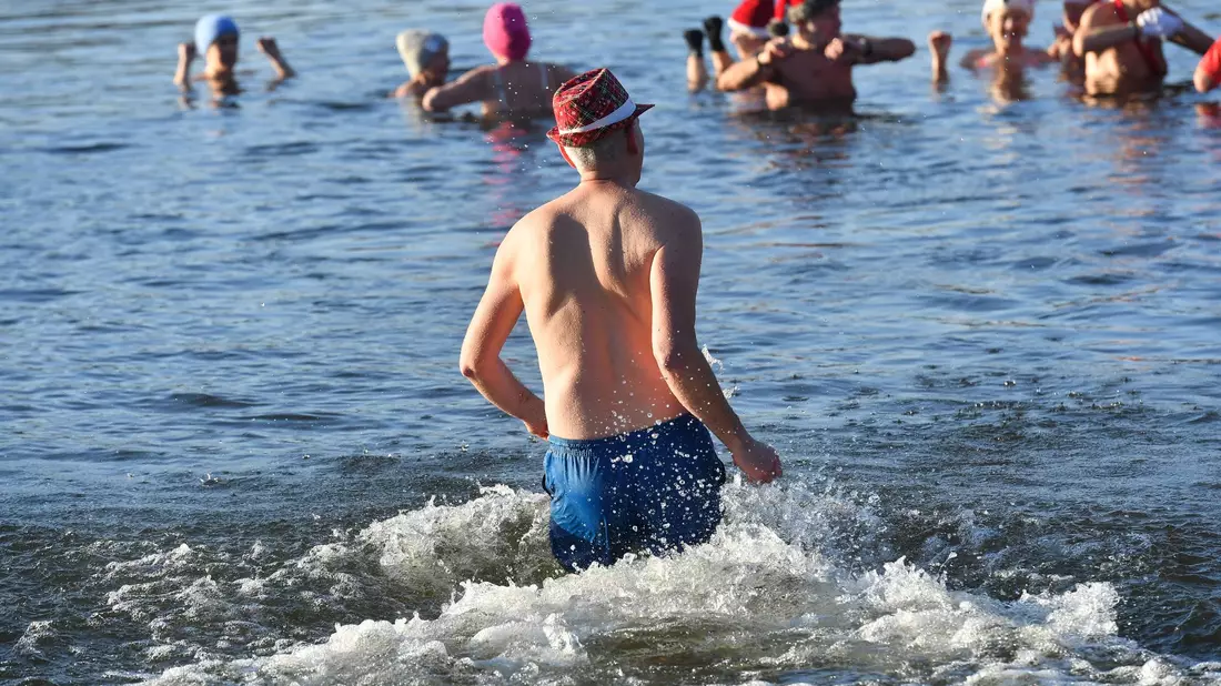 Nicht nur an Weihnachten und Neujahr baden die Berliner Seehunde bei eiskalten Temperaturen im Berliner Orankesee. - Bild: Paul Zinken/dpa