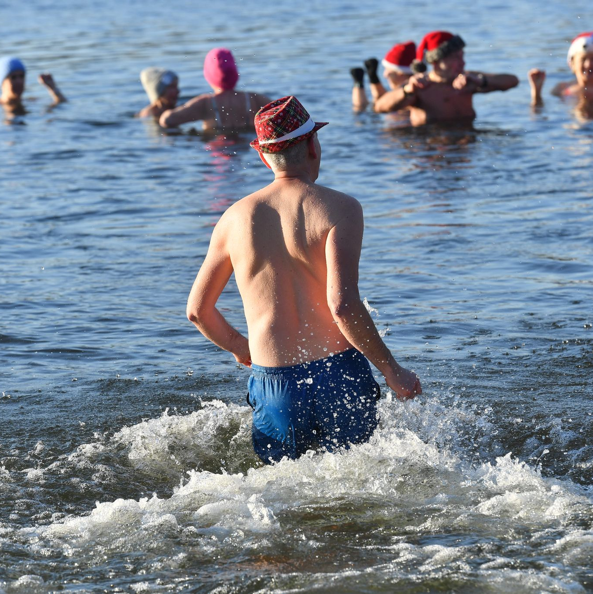 Nicht nur an Weihnachten und Neujahr baden die Berliner Seehunde bei eiskalten Temperaturen im Berliner Orankesee. - Foto: Paul Zinken/dpa