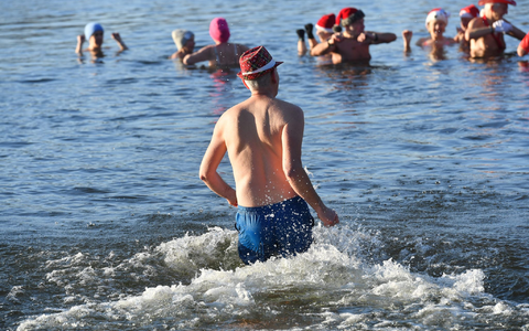 Nicht nur an Weihnachten und Neujahr baden die Berliner Seehunde bei eiskalten Temperaturen im Berliner Orankesee. - Foto: Paul Zinken/dpa