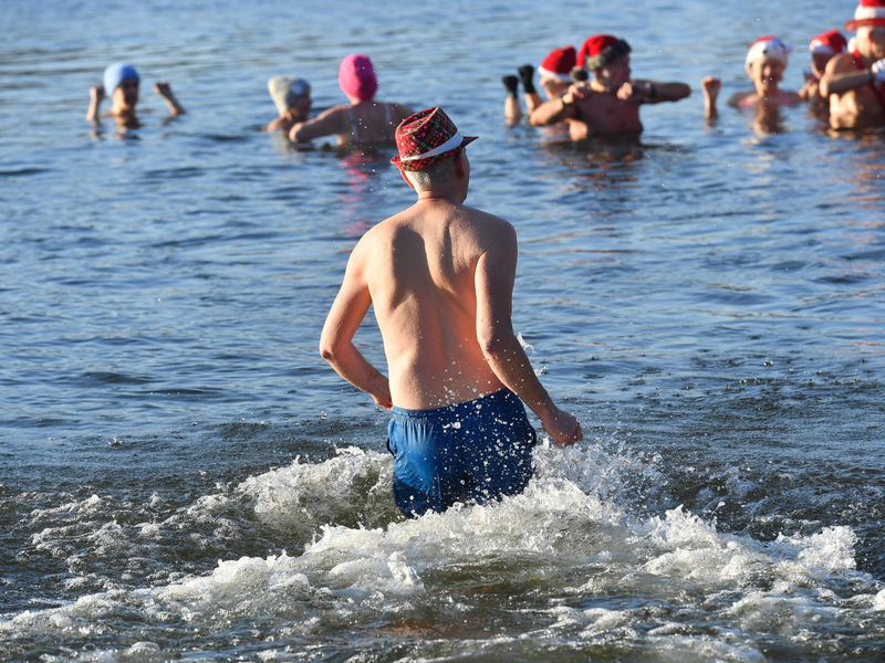 Nicht nur an Weihnachten und Neujahr baden die Berliner Seehunde bei eiskalten Temperaturen im Berliner Orankesee. - Foto: Paul Zinken/dpa