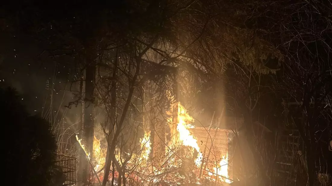 FW-E: Brand einer Gartenlaube am Heilig Abend in Essen-Frintrop - Feuer greift auf umliegendes Gehölz über - Bild: presseportal.de