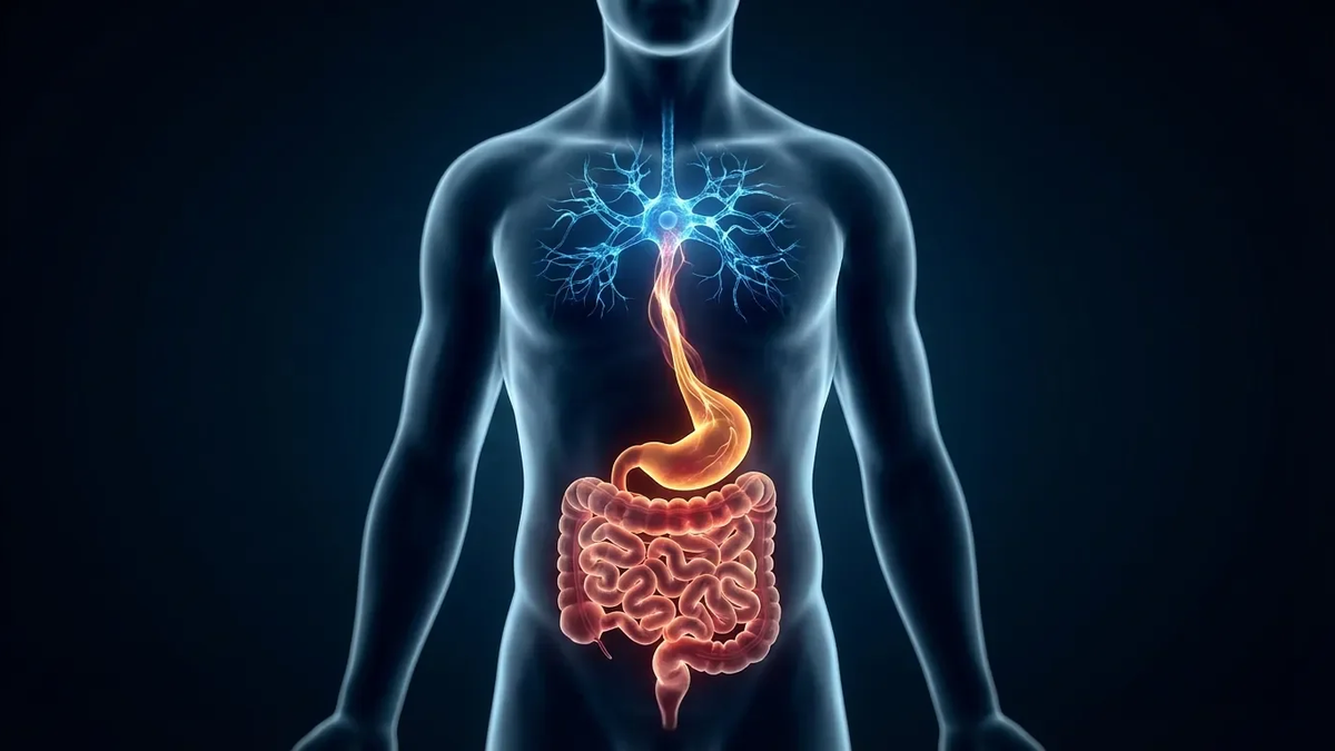 Brain-First-Ansatz dominiert Reizdarm-Therapie - Foto: über boerse-global.de