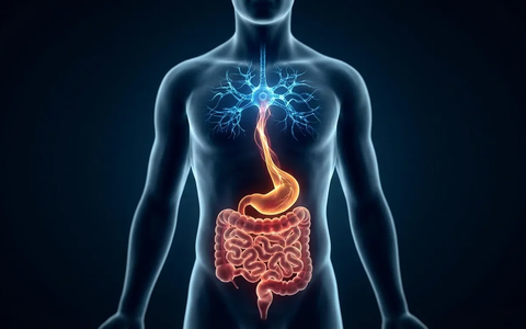 Brain-First-Ansatz dominiert Reizdarm-Therapie - Foto: über boerse-global.de