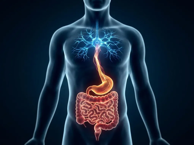 Brain-First-Ansatz dominiert Reizdarm-Therapie - Foto: über boerse-global.de