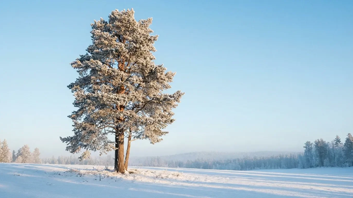 Kältewelle belastet Herz – doch birgt auch Chancen - Foto: über boerse-global.de
