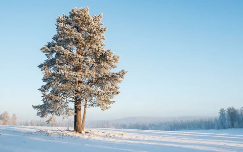 Kältewelle belastet Herz – doch birgt auch Chancen - Foto: über boerse-global.de