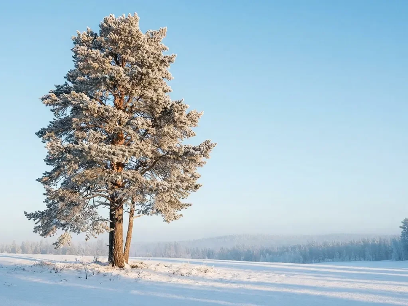 Kältewelle belastet Herz – doch birgt auch Chancen - Foto: über boerse-global.de