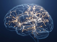 Hirnforschung: Warum Nichtstun am Stefanitag klüger macht - Foto: über boerse-global.de