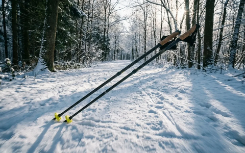Nordic Walking erlebt Renaissance durch Diagonalschritt - Foto: über boerse-global.de