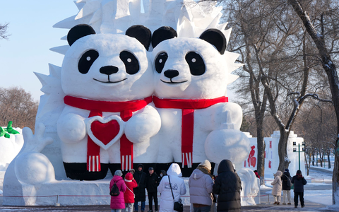 «Mr. Snowman» ist Teil der diesjährigen Expo.  - Foto: Wang Song/XinHua/dpa