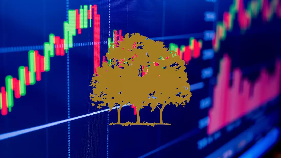 Canopy Growth Shares Find Support at Key Technical Level - Bild: über boerse-global.de