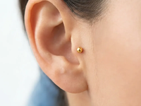 Tinnitus-Therapie: Altes Akupressur-Punkt erlebt Renaissance - Foto: über boerse-global.de