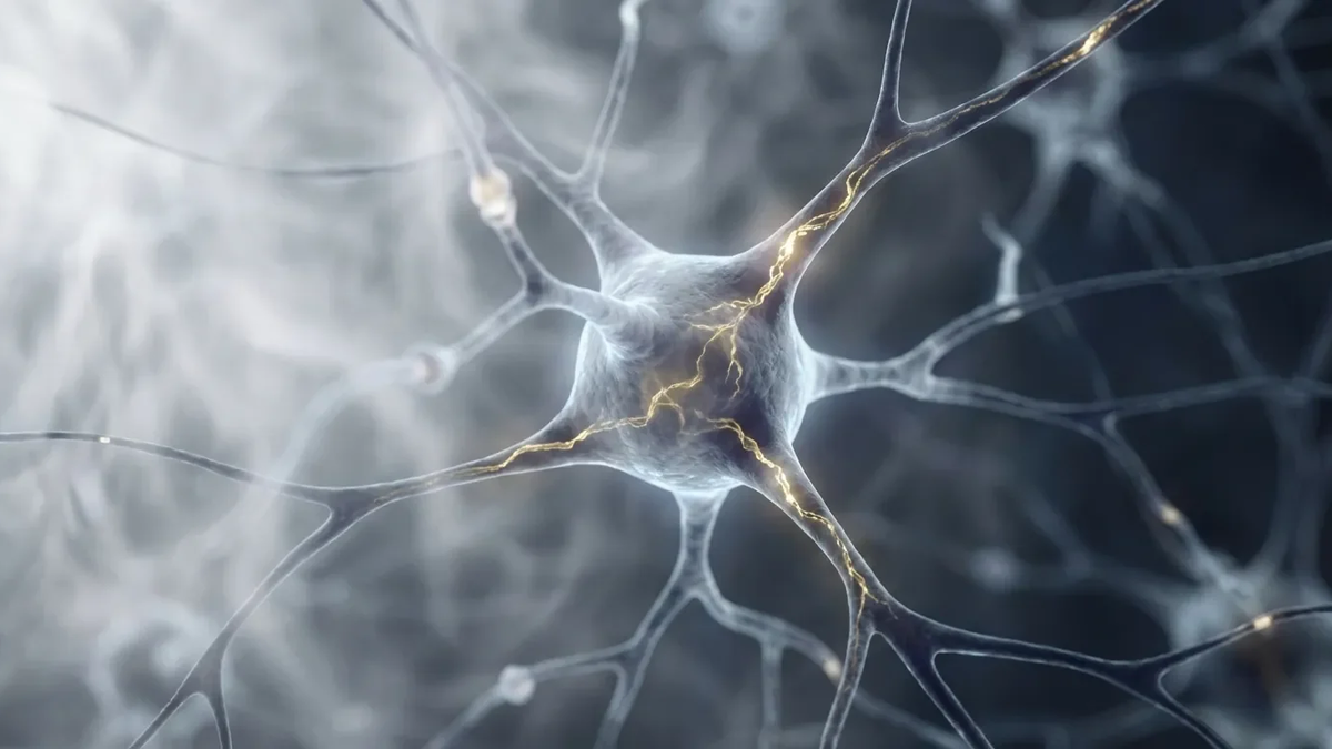 Brain Fog: Neue Studien zeigen Energiekrise im Gehirn - Foto: über boerse-global.de