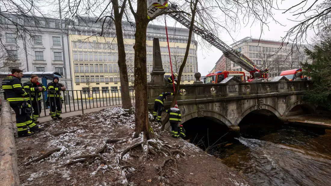 Ein Kran war im Einsatz.  - Bild: Peter Kneffel/dpa