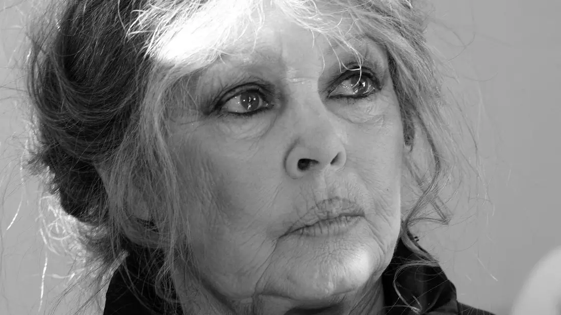 Brigitte Bardot wurde 91 Jahre alt. - Bild: Valery Hache/AFP/dpa