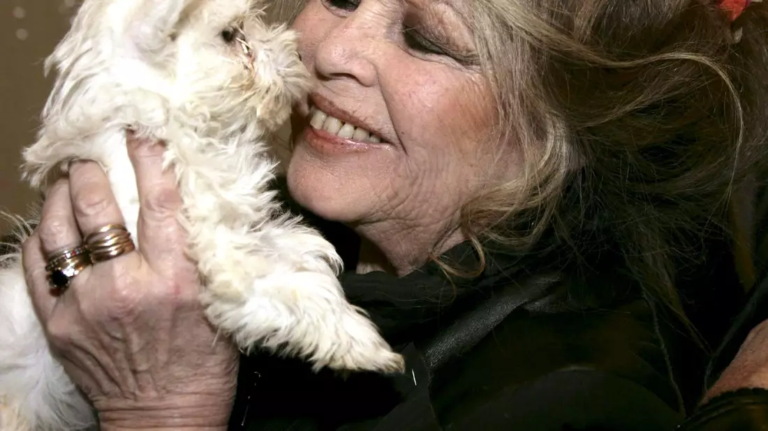 Mit rund 40 Jahren zog Bardot sich abrupt aus dem Filmgeschäft zurück.  - Bild: Sipa Bebert/epa/dpa