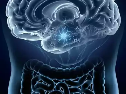 NU-9: Neuer Wirkstoff stoppt Alzheimer-Prozesse im Gehirn - Foto: über boerse-global.de