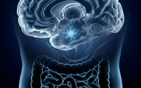 NU-9: Neuer Wirkstoff stoppt Alzheimer-Prozesse im Gehirn - Foto: über boerse-global.de