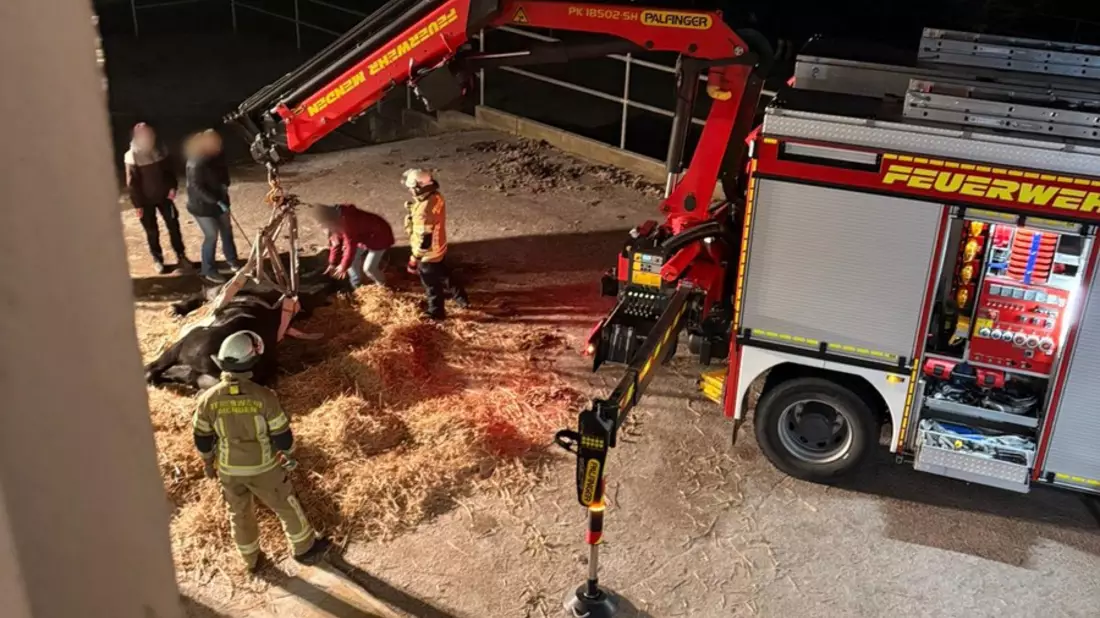 FW Menden: Feuerwehr unterstützt bei Rettung eines gestürzten Pferdes - Bild: presseportal.de