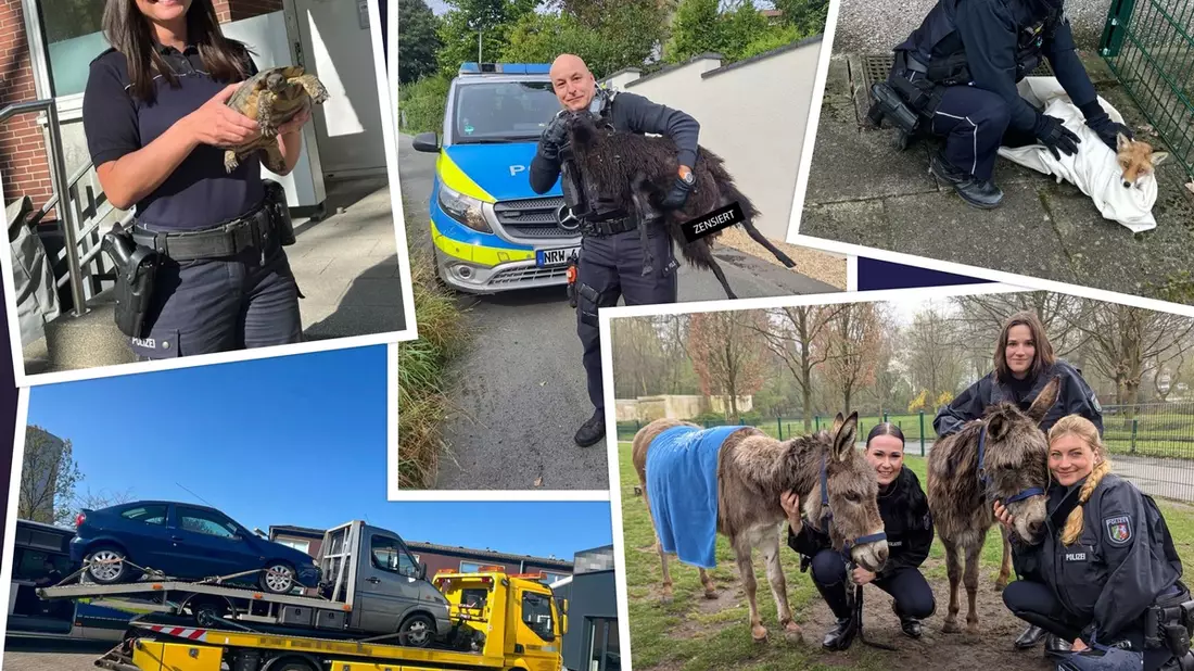 POL-BO: Rückblick 2025: Neun verrückte Polizeigeschichten aus Bochum, Herne und Witten - Bild: presseportal.de