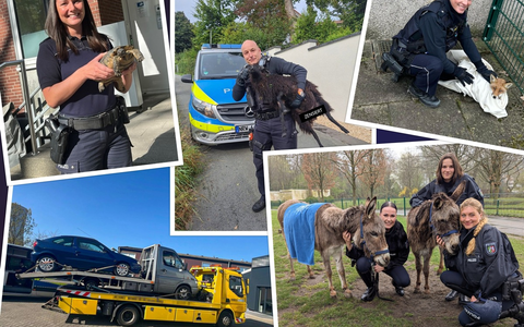 POL-BO: Rückblick 2025: Neun verrückte Polizeigeschichten aus Bochum, Herne und Witten - Foto: presseportal.de