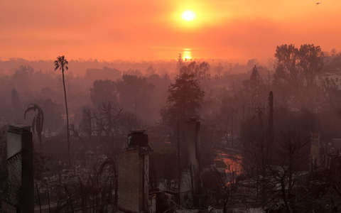 Die Verwüstung durch das Palisades-Feuer in Los Angeles. (Archivbild) - Foto: Jae C. Hong/AP/dpa
