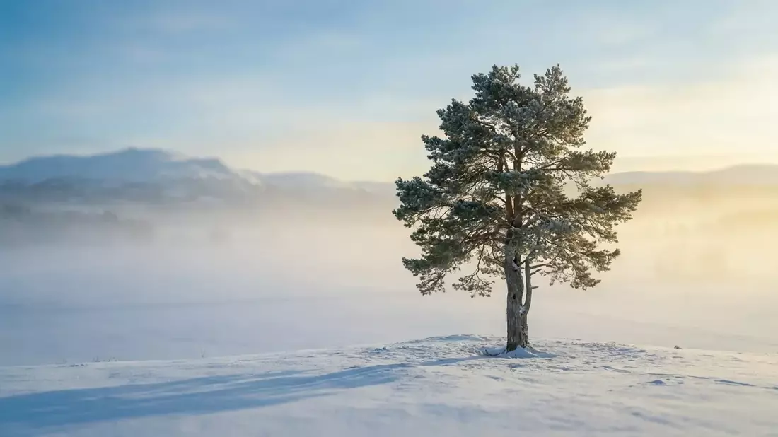 Mentale Gesundheit: Sieben neue Gewohnheiten gegen den Winter-Blues - Bild: über boerse-global.de