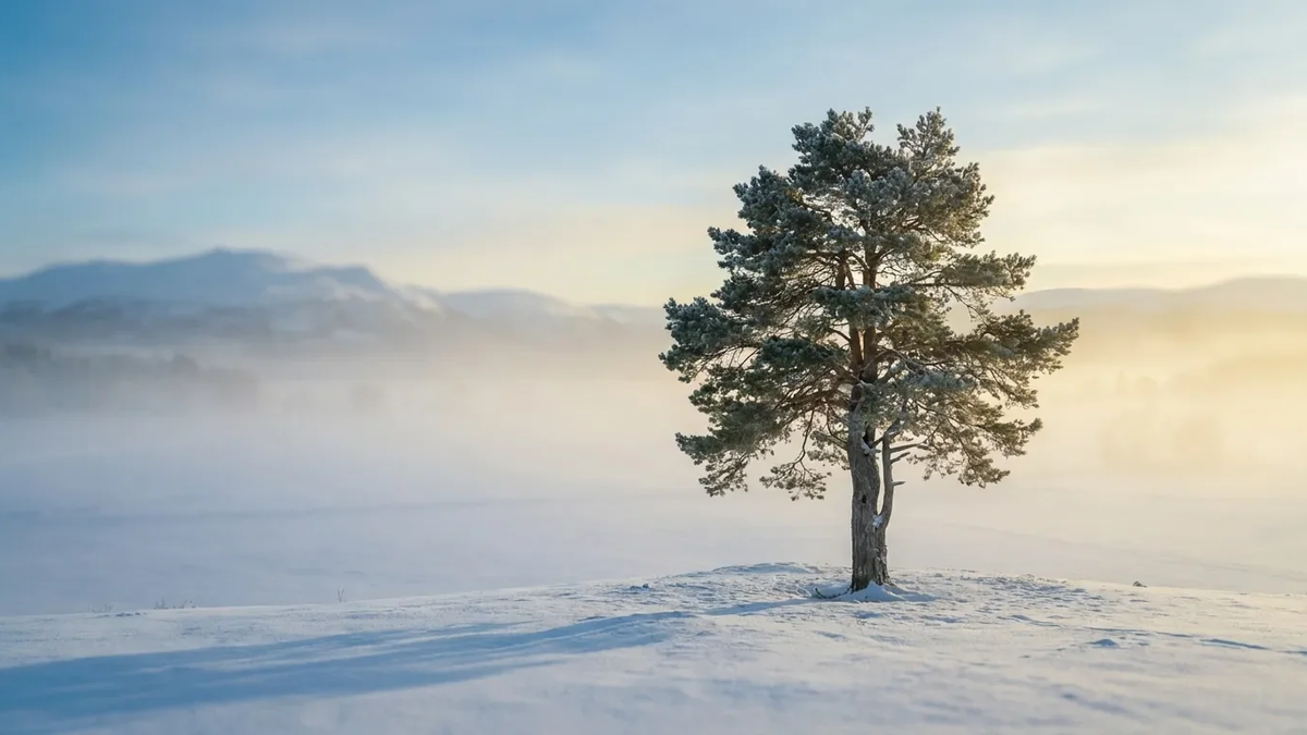 Mentale Gesundheit: Sieben neue Gewohnheiten gegen den Winter-Blues - Foto: über boerse-global.de