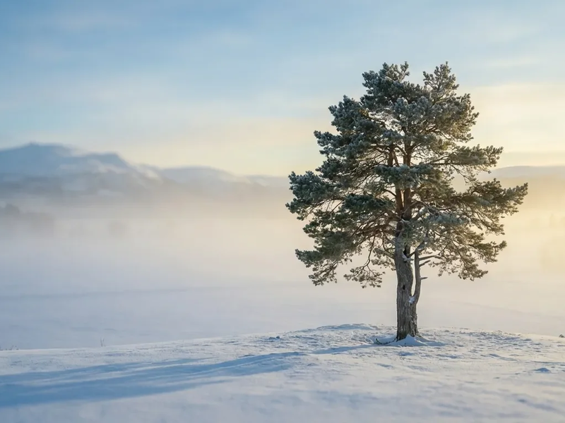 Mentale Gesundheit: Sieben neue Gewohnheiten gegen den Winter-Blues - Foto: über boerse-global.de
